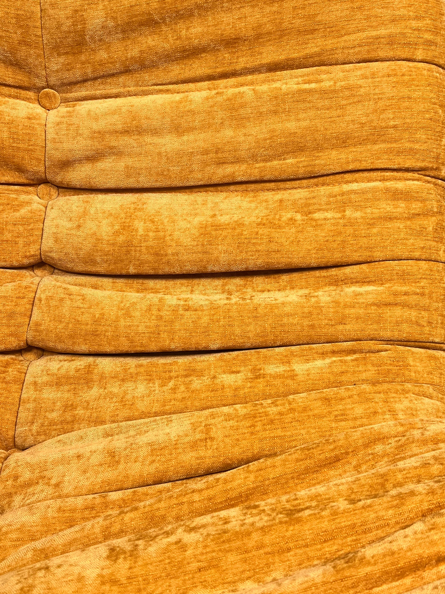 Le Cocoon – Moutarde